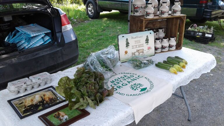 Farm in the Woods farmers' market display with maple syrup and vegetables