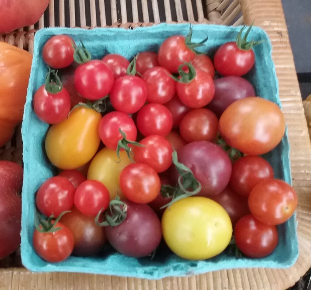 Cherry Tomatoes grown by Farm in the Woods