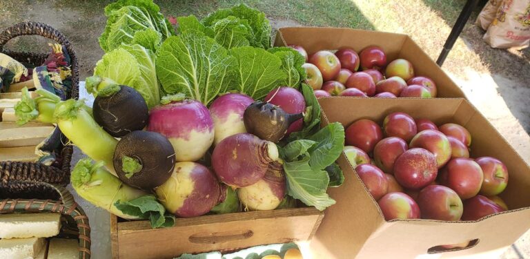 Radishes and Apples at Farm in the Woods Farmers' Market Stand